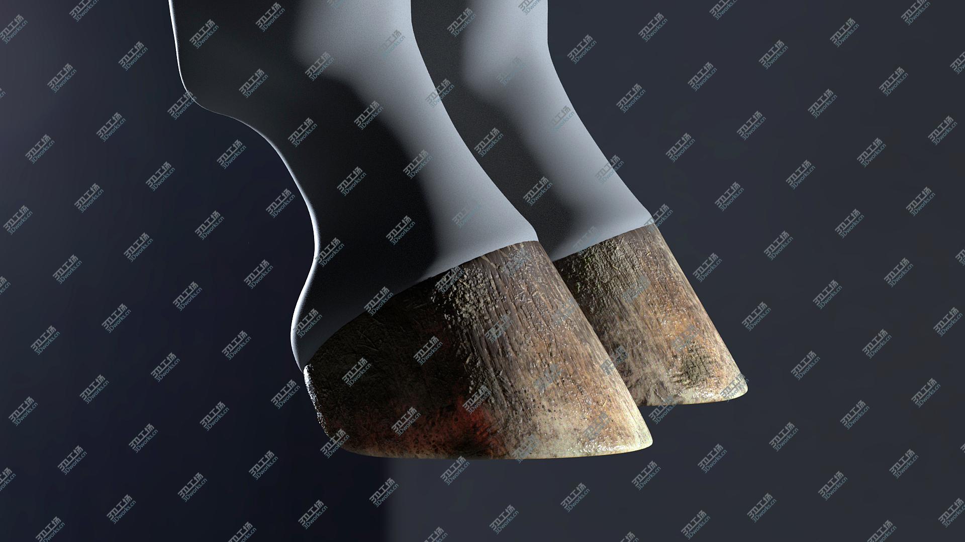 images/goods_img/2021040163/Horse Hoof HD 3D model/2.jpg